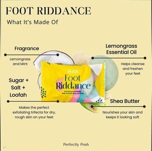 Perfectly Posh Riddance Feet exfoliating rock